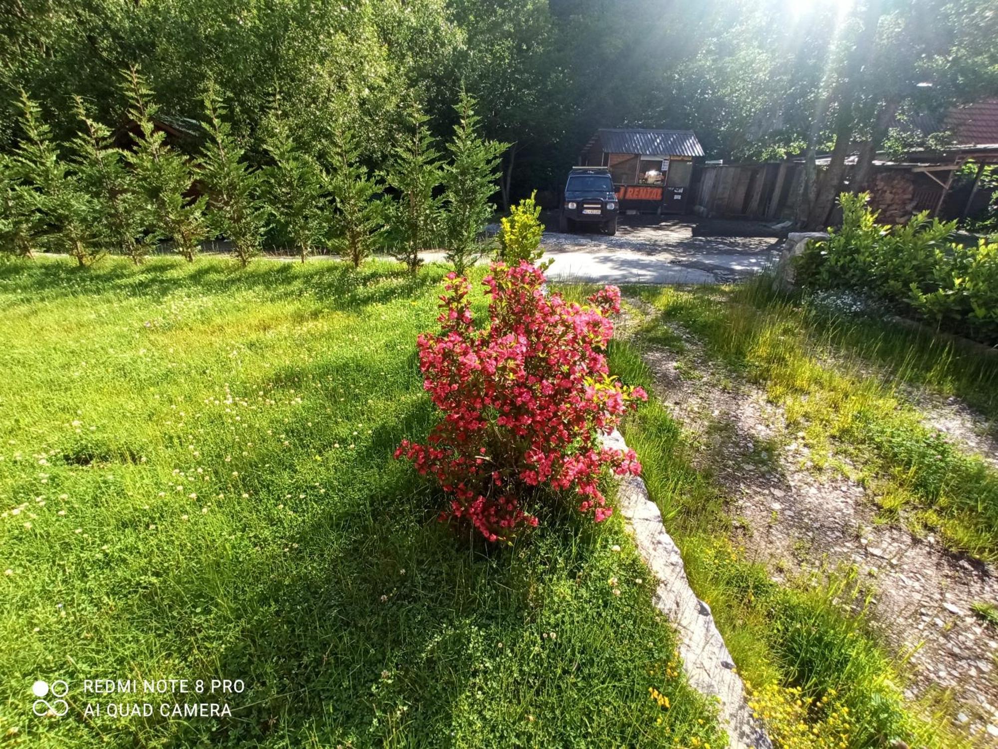 Holiday Home Ivana Kolasin Exterior photo